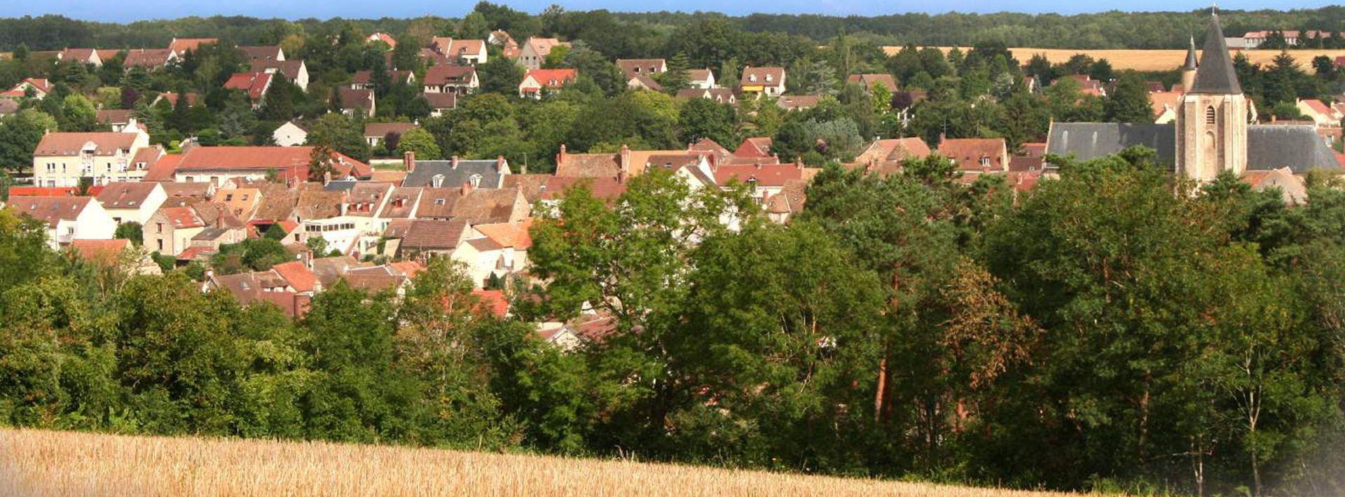 Association des Commerçants et Artisans de Saint Arnoult en Yvelines